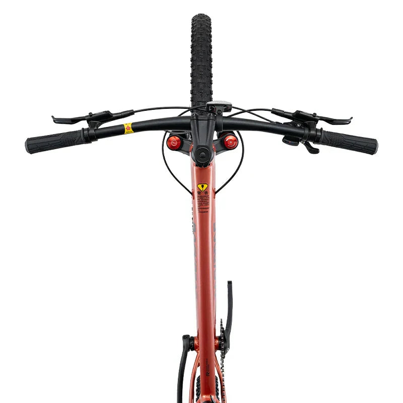 MT600 -  29‘’ Mountain Bike