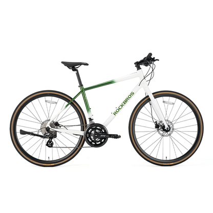 ROCKBROS RIDA P2E Series Road Bike
