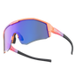 ROCKBROS Sports Polarized Sunglasses for Men Women UV400 Protection Sunglasses for Cycling Running Biking