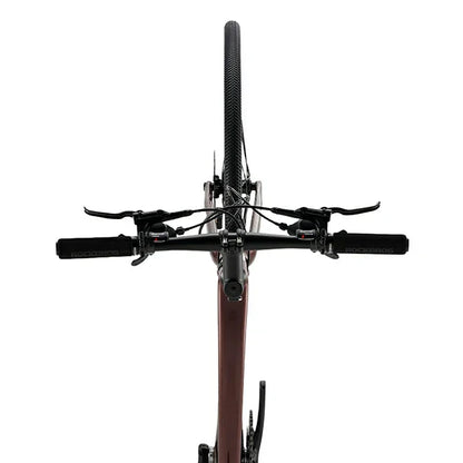LynxFox - Carbon Fiber Road Bike