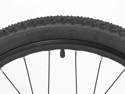 Darwin IV 24-Inch Kids Bike