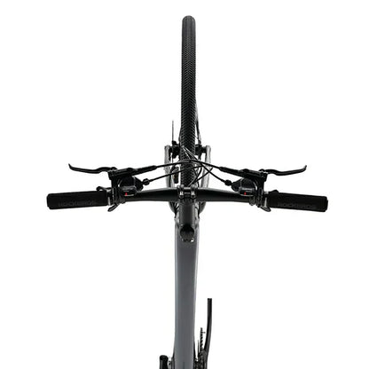 LynxFox - Carbon Fiber Road Bike