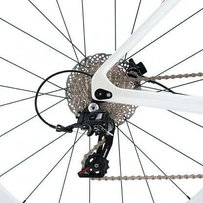 CTR - Carbon Fiber Road Bike White