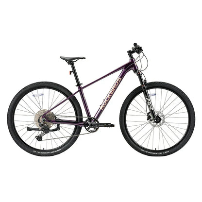 MT400-29" Mountain Bike