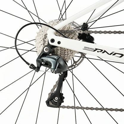 LynxFox - Carbon Fiber Road Bike