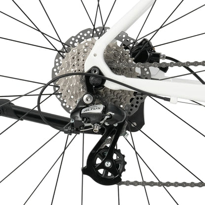 ROCKBROS RIDA P2E Series Road Bike