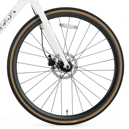 ROCKBROS RIDA P2E Series Road Bike