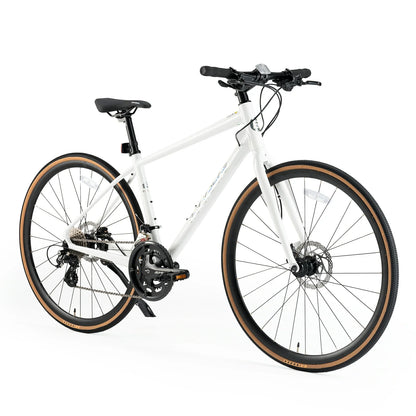 ROCKBROS RIDA P2E Series Road Bike