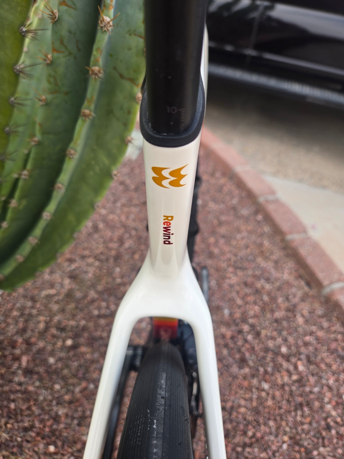 Evolve CIMA Rewind - Special Edition, Custom Build - Size Medium