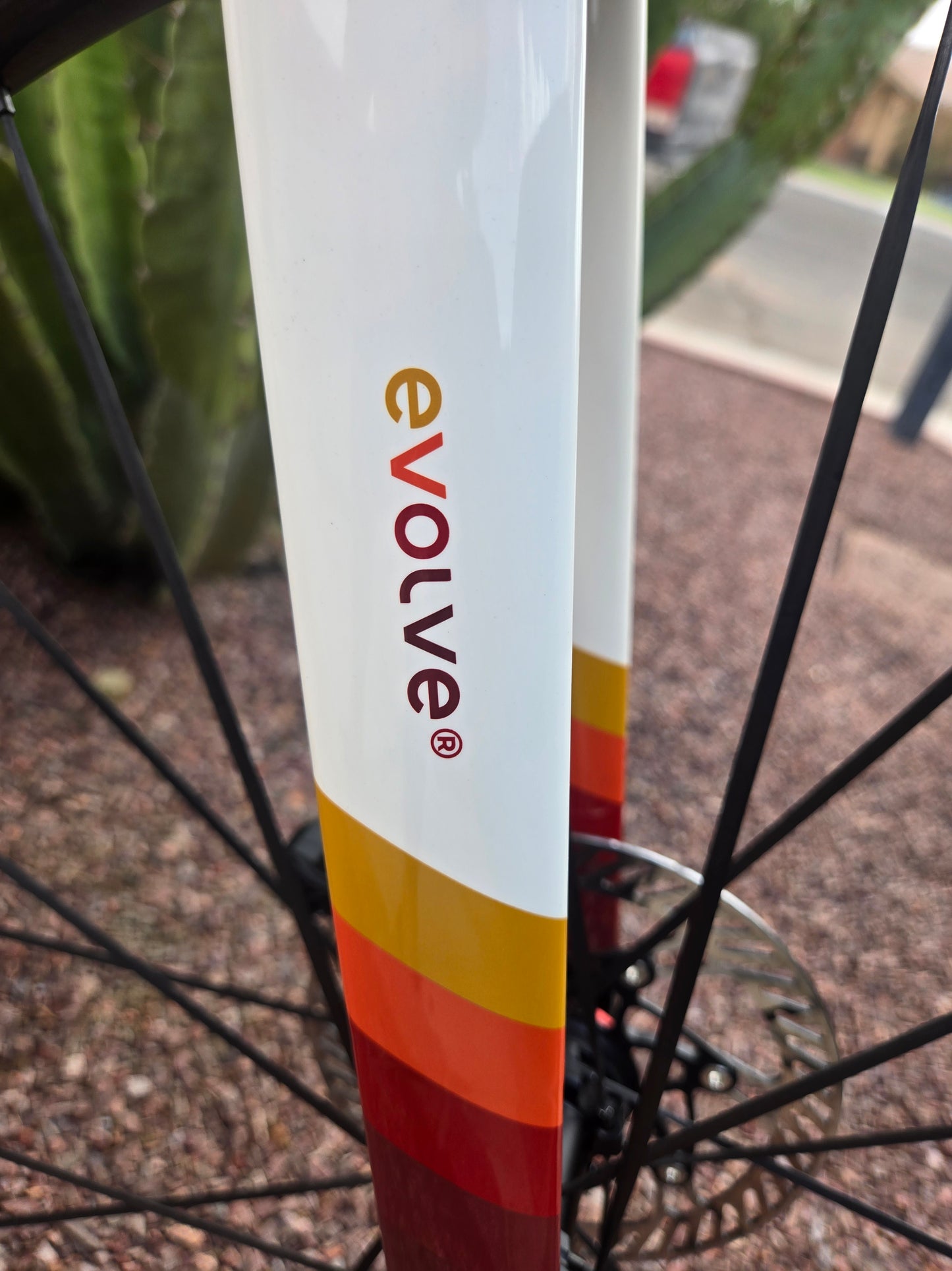 Evolve CIMA Rewind - Special Edition, Custom Build - Size Medium